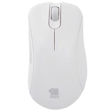 ZOWIE EC2 eVo Hvid Gaming Mus - Perfekt til CS Spillere
